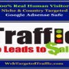 cheap targeted traffic