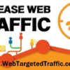 increase vebsite traffic to my website