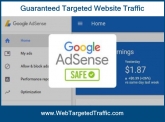 BUY WEBSITE TRAFFIC: Get High Quality Targeted Traffic That Converts‎