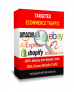 Targeted Ecommerce Traffic – StartUp Package